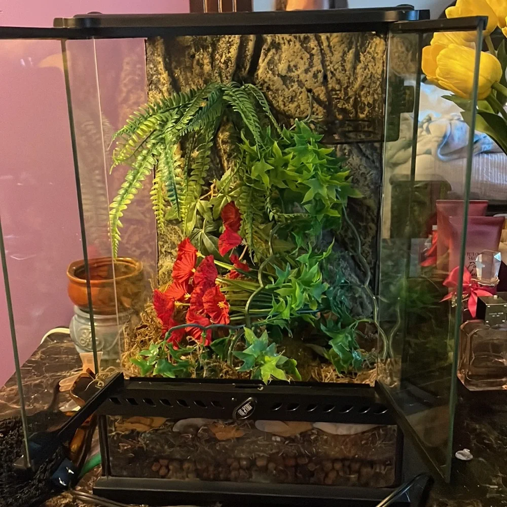 Bio active terrarium enclosure for reptiles